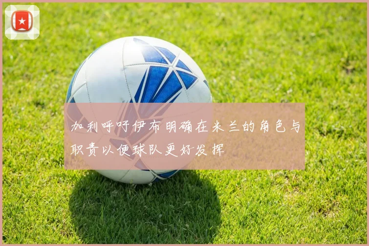 加利呼吁伊布明确在米兰的角色与职责以便球队更好发挥